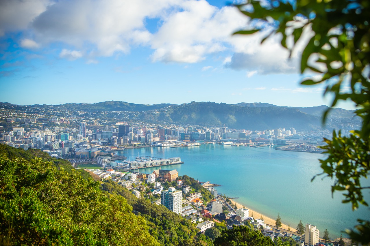 Mount Victoria Wellington Lookout View. Credit: WellingtonNZ