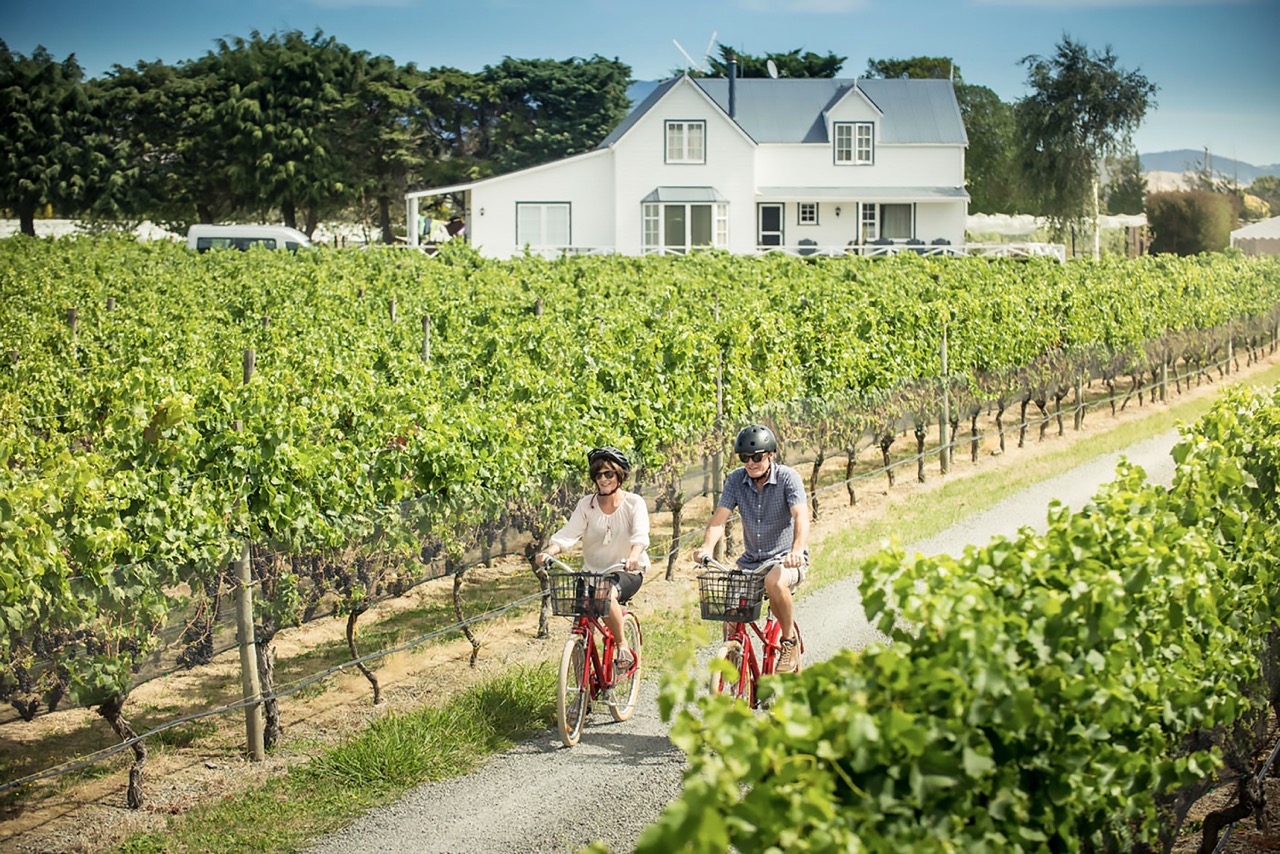 Martinborough has over 50 wineries and vineyards, so there are plenty of opportunities to taste different wines. Credit: Mike Heydon Jet Productions